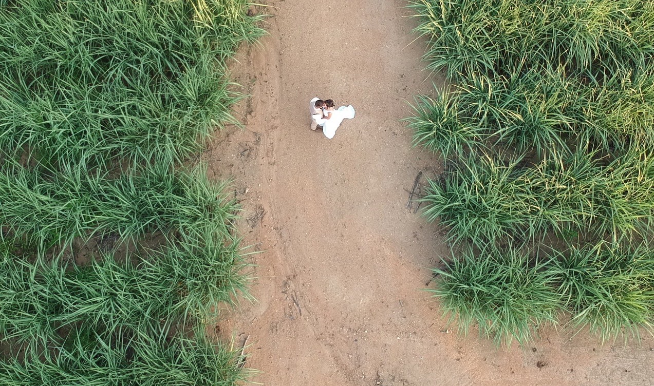 DCIM/859MEDIA/DJI_6217.JPG