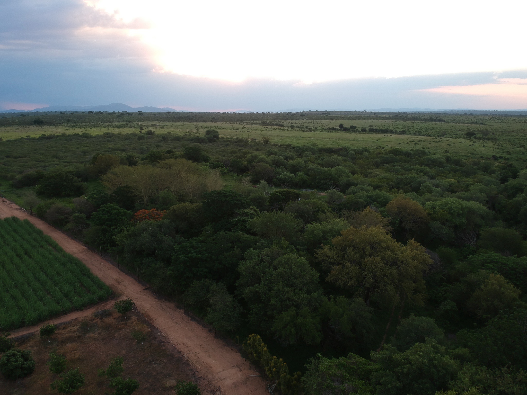 DCIM/859MEDIA/DJI_6227.JPG